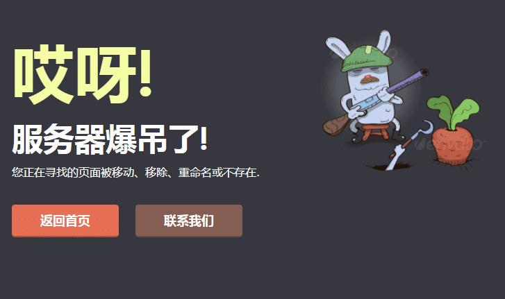 守萝卜的兔子404错误动画模板